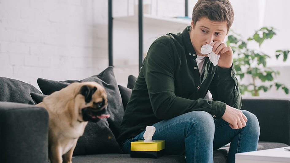 Getting an air purifier is one of the best approaches to enhance your house’s indoor air quality. Discover more about the three top options. 